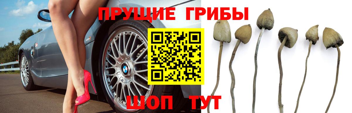 Псилоцибиновые грибы мухоморы  Вход с VPN  Тихвин 